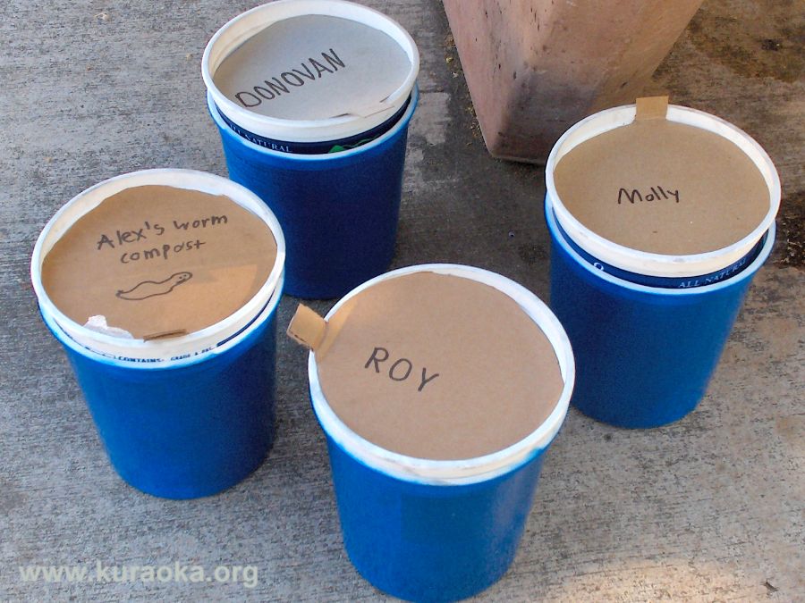 Mini Worm Composting Bins A Great Project For Kids - Best Diy Worm Composting Bin